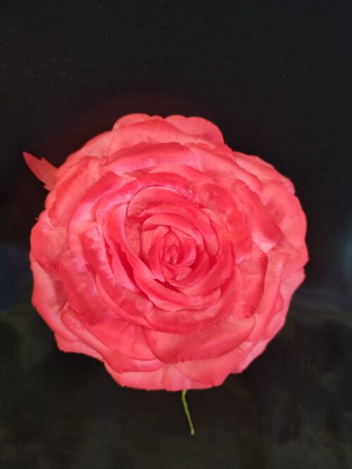 Rosa teñida mediana